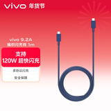 vivo9.2A 编织闪充数据线 1m 蓝紫双Type-C口 支持120W超级闪充 支持多协议设备 X300数据线X200数据线