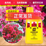 史丹利三角梅开花专用肥花肥料营养液家用盆栽花卉植物催花爆花肥500ml
