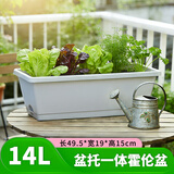 芷郁长方形种菜盆大花盆阳台塑料种菜箱懒人神器蔬菜种植箱 灰色