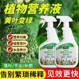 花大师免稀释植物营养液通用型绿植发财树绿萝花卉水培富贵竹专用叶面肥 植物营养液通用1000mlX2瓶 送复合肥250g