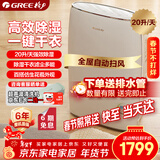 格力（GREE）【干衣除湿】除湿机抽湿机家用20升/天单间≤40㎡低噪除潮回南天除霉干衣智能控湿24H定时DH20EF