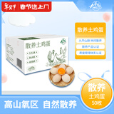 九華粮品散养土鸡蛋50枚 净重4.8斤  新鲜草鸡蛋 月子蛋 宝宝蛋 