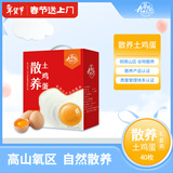 九華粮品 散养土鸡蛋40枚 净重3.2斤 农家柴鸡蛋 笨鸡蛋 礼盒