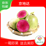 京地达山东心里美萝卜红心净重4.5斤单果100g+鲜甜多汁源头直发包邮