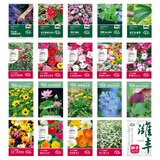 寿禾花种子大全四季可种格桑花太阳花向日葵薄荷草籽 20种花种子大全