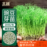 北蔬 豌豆苗种子种苗水培土培龙须菜豆苗四季种 青豌豆芽苗菜种子200g