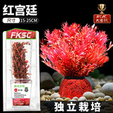 疯狂水草赛级红宫廷 水生水草植物直接入缸净化水质鱼缸造景源头直发包邮