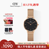 丹尼尔惠灵顿（DanielWellington）DW女士手表轻奢流金简约石英欧美腕表送女友情人节礼物DW217