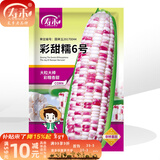 寿禾 超甜水果玉米种子大全紫糯黑甜糯可生食粘甜种孑冬春季寿光蔬菜 彩甜糯6号玉米种子200g