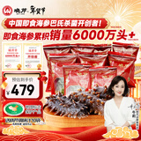 晓芹大连冷冻即食海参500g 7-9只 辽刺参 海鲜水产 年货