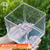 寿禾 玻璃瓶加厚透明植物插花水培容器 15*15大号方形水培玻璃瓶