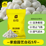 史丹利白石子水培石子天然铺面石白色鹅卵石原石庭院石头造景花盆 5斤