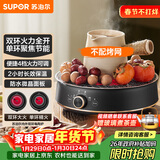 苏泊尔（SUPOR）迷你电陶炉 煮茶器煮茶炉煮茶壶 养生围炉煮茶泡茶办公家用不挑器具SW-DTL05