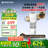 滨特尔（pentair）前置过滤器大通量家用全屋自来水管道40μm过滤器大流量水驱涡轮+反冲洗刮洗净水器 【上门安装】S160升级11T大通量