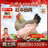 三德子好甄选散养壮年老母鸡 净重1.8-2.4斤 350天土鸡肉生鲜月子鸡汤