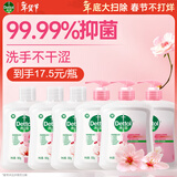 滴露（Dettol）洗手液滋润500g*6 抑菌洗手液家庭装大桶儿童消毒无酒精温和护手