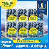 怡颗莓【颗颗饱满】当季云南蓝莓 国产蓝莓 新鲜水果送礼 Jumbo超大125g*6盒（18mm+）