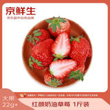 京鲜生 红颜奶油草莓 1斤装 15-20颗 单果22g+  生鲜年货水果