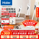 海尔（Haier）无线手持吸尘器家用除灰尘车载轻量宠物吸毛便携式随手吸除尘机大功率大吸力25年新品SQ2D新年好礼