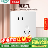鸿雁X5插座面板开关三孔五孔六孔十孔一开双开双控空调防水 X5白色 斜五孔插座