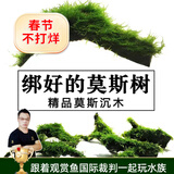 云峰海瑞 鱼缸水草前景莫丝莫斯水草水族箱造景套餐水草活体草缸造景装饰 中号沉木莫斯水草