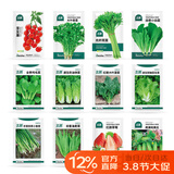 北蔬各种蔬菜种子生菜草莓香菜小香葱黄瓜阳台四季菜籽 12种蔬菜种子