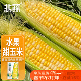 北蔬水果玉米种子苗甜脆可生吃大棒苞米籽 双色甜玉米种子25g约190粒