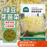 北蔬 绿豆芽苗菜种子种苗家庭水培无土栽培菜种籽 绿豆芽苗菜种子200g