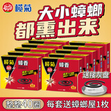 榄菊蟑香驱蟑蚊香座蟑螂盘香小强灭杀蟑螂除蟑家庭厨房卧室酒店用 蟑螂香10盒共40单圈