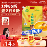 十月稻田 黄小米 1kg 2025新米 赤峰市敖汉旗 米油厚 早餐煮粥 蒸饭软糯