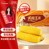 十月稻田 黄糯玉米 3.52斤(220g*8根) 东北粘苞米 早餐杂粮 马年限定