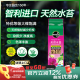 美乐棵智利进口水苔土蝴蝶兰营养土兰花文心兰干苔藓爬宠乌龟垫材150g