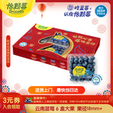 怡颗莓Driscoll's云南蓝莓Jumbo大果18mm+ 6盒约125g/盒 水果年货礼盒