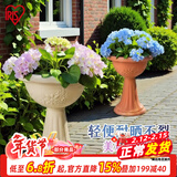 爱丽思（IRIS）浮雕杯型创意大花盆户外庭院家用树脂塑料欧式绣球高脚花盆 350H【陶茶色】约6.5L