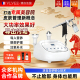 VLVEE超声波美容仪导出导入仪美容院专用仪器面部提拉紧致脸部按摩注氧补水仪毛孔清洁家用 【美容院尊享款】声波导入导出+提升紧肤+高压注氧