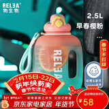 物生物（RELEA）运动水杯吨杯吨桶大容量Tritan塑料健身水壶男女学生吸管杯子礼物