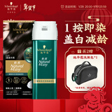 施华蔻（Schwarzkopf）怡然一按染泡泡染发乳2.0雾感冷黑 染发剂男女多次盖白 热门商品