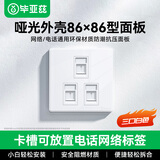 毕亚兹 三口网络面板 适用电脑插座电话信息模块 通用暗装超五/六/七类模块加厚86型面板带标识卡槽 三孔