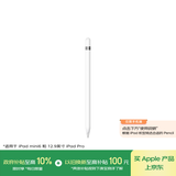Apple/苹果 Pencil(第一代) 带USB-C转换器 触控笔手写笔苹果笔电容笔 适用部分iPad 11/Pro/Air机型