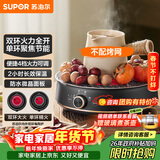 苏泊尔（SUPOR）迷你电陶炉 煮茶器煮茶炉煮茶壶 养生围炉煮茶泡茶办公家用不挑器具SW-DTL05