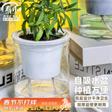 寿禾 懒人盆自吸盆双层透明室内桌面植物盆 透明懒人盆x2个装
