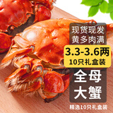 乾澄【活蟹】乾澄大闸蟹现货精选全母3.3-3.6两10只鲜活螃蟹海鲜过年送礼年货礼盒源头直发
