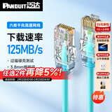 泛达 泛达六类细网线CAT6类千兆跳线POE监控办公家用水晶头宽带成品网线 冰湖蓝 15米