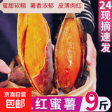 河南新鲜现挖西瓜红蜜薯沙地红心番薯山芋生鲜超市蔬菜京东包邮 优质西瓜红4斤 中大果（单果150g-500g）