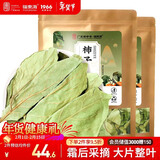 福东海 柿子叶600克【整叶】柿子叶粉新鲜干货霜后柿子树叶茶降泡水压