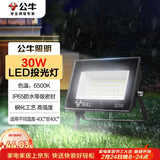 公牛（BULL）LED投光灯户外庭院工厂园林灯露营灯 IP65防水等级30W-6500K白光