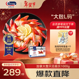 Clearwater北极清水加拿大北极贝2斤L码36-50只0添加整只大号礼盒装年货送礼