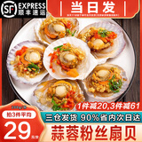 海泽鲜 特大蒜蓉粉丝扇贝200g 鲜冻扇贝肉虾夷扇贝 火锅烧烤食材 【6只】 200g(净重)  /袋