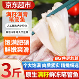 弹指鲜生 海兔子 满籽笔管鱼 鲜活冷冻籽乌章鱼新鲜墨鱼仔小鱿鱼乌贼 生冻笔管鱼 1500g(净重)  【99%含籽】