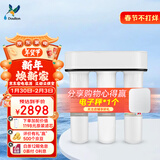 道尔顿（Doulton）净水器家用直饮 厨房自来水龙头过滤器矽藻陶瓷饮水机超滤净水机无废水厨下式 D-IP301